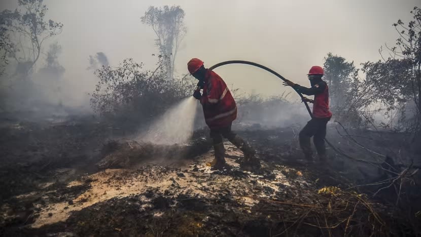 Indonesia cegah kebakaran hutan gambut guna 'teknologi hujan buatan' Indonesia cegah kebakaran hutan gambut guna 'teknologi hujan buatan'