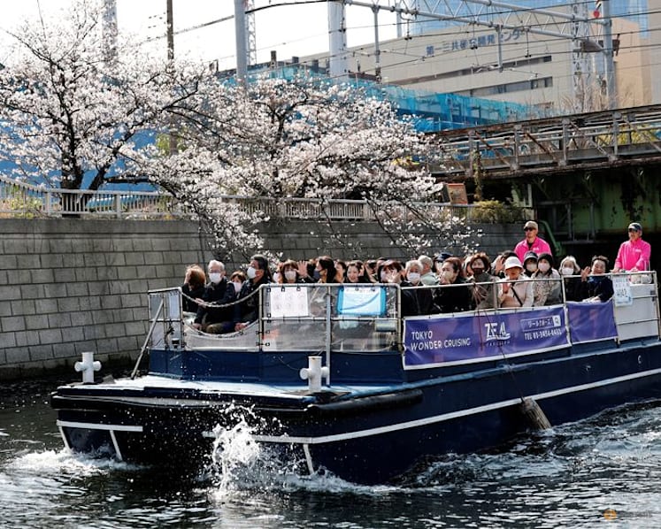 Pricier fuel hits Tokyo cherry blossom river cruises ​