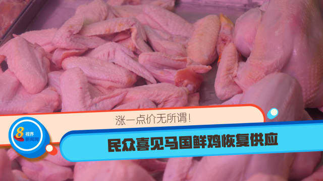 涨一点价无所谓！民众喜见马国鲜鸡恢复供应 