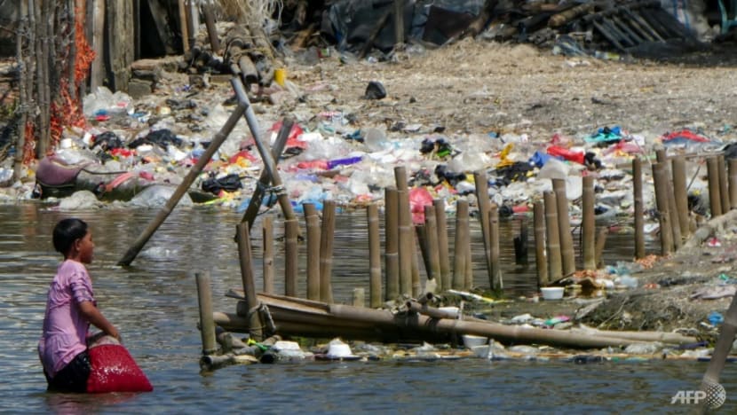 Indonesia plans to ban single-use plastic by end of 2029 Indonesia plans to ban single-use plastic by end of 2029