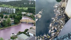 Related article image