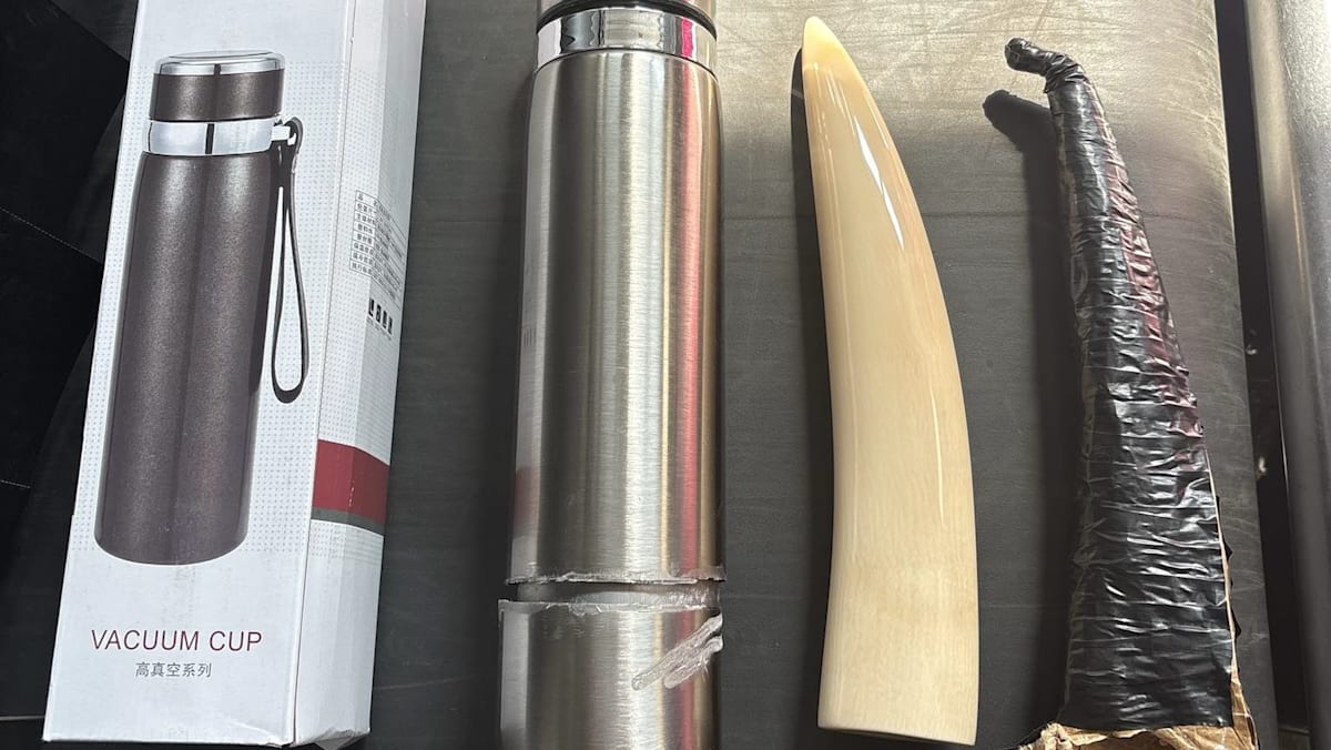 Man jailed for trying to smuggle ivory tusk into Singapore in thermos flask