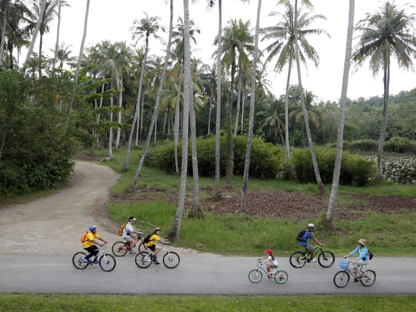 Govt unveils plans to better protect Pulau Ubin