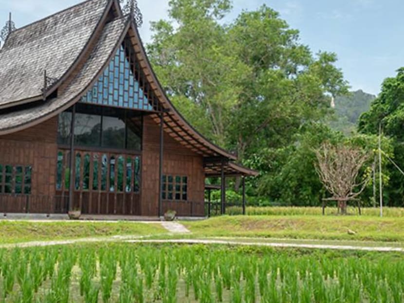 Non-Touristy Things To Do In Patong In Phuket, According To A Travel Insider