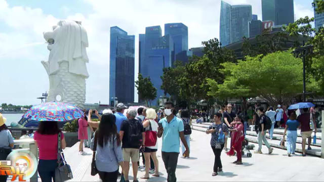 晨光|晨光聚焦：疫后旅游 业者如何把握复苏机遇
