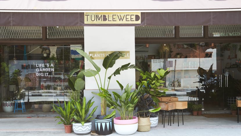 Essential Tips To Keep Houseplants Alive And Nail That #Jungalow Home Décor Style 