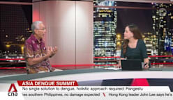 Professor Tikki Pangetsu on dengue situation in Singapore and the region 