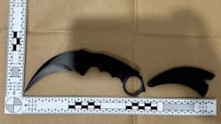 Related article image