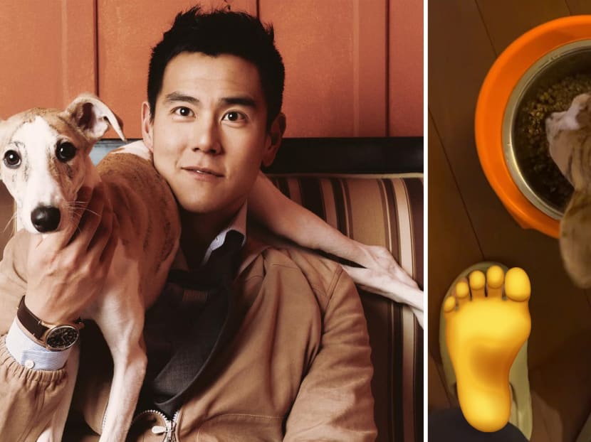 Eddie Peng Shares Snaps Of His Dogs, But All Netizens Can Talk About Is His Big Toe