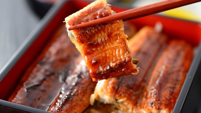 Commentary: Seafood mislabelling keeps diners in murky waters