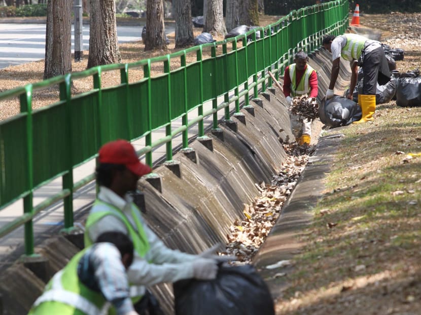 NEA steps up efforts to clear leaf litter to control mosquito population