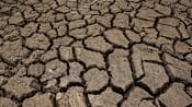 El Nino could cause 451,000 extra heat deaths: Research