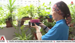 Social service agencies boosting support amid rise in seniors living alone