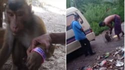 Related article image