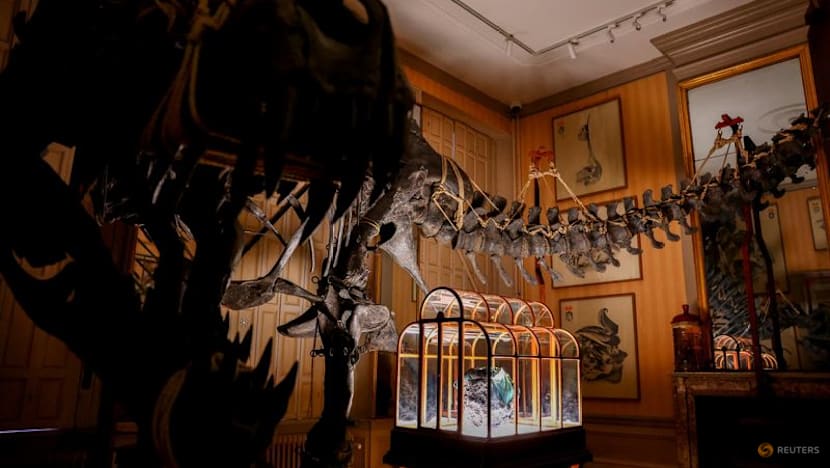 Dinosaur collagen used to create one-of-a-kind handbag