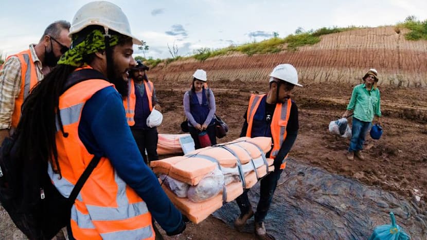 Dinosaur fossils in Brazil reveal new giant species