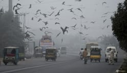 'Really suffocating': Pakistan emerges from record smog season