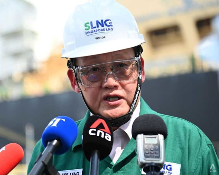 Singapore has not yet dipped into its energy stockpile and is prepared for multiple scenarios: Tan See Leng