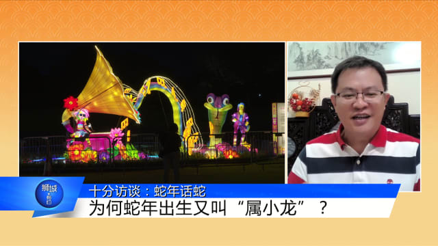 狮城有约 | 十分访谈：蛇年话蛇