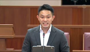 David Hoe on Veterinary Practice Bill