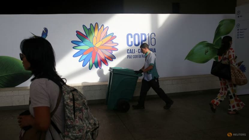 World lags on 2030 nature goals headed into UN COP16 talks World lags on 2030 nature goals headed into UN COP16 talks