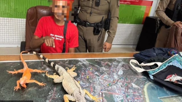 诱导旅客与鬣蜥合照后索取钱 泰国男被捕