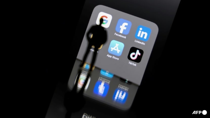 CNA Explains: The rise of image-based sexual abuse in Singapore, and its impact CNA Explains: The rise of image-based sexual abuse in Singapore, and its impact