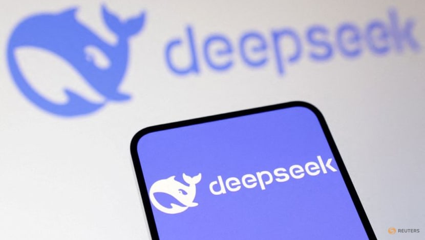 Italy's privacy watchdog blocks Chinese AI app DeepSeek Italy's privacy watchdog blocks Chinese AI app DeepSeek