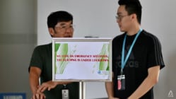 Related article image