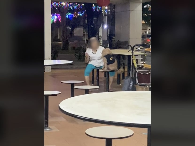 A screengrab showing a woman allegedly hitting a dog at Pek Kio Market and Food Centre.