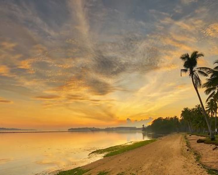 Self-guided heritage trail opens in Pasir Ris