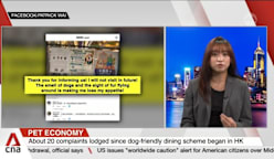 Dogs in restaurants? Viral backlash tests Hong Kong's pet-friendly push