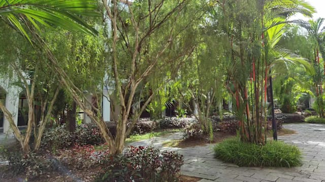 世外桃源终是梦——《消失的地平线》读后感