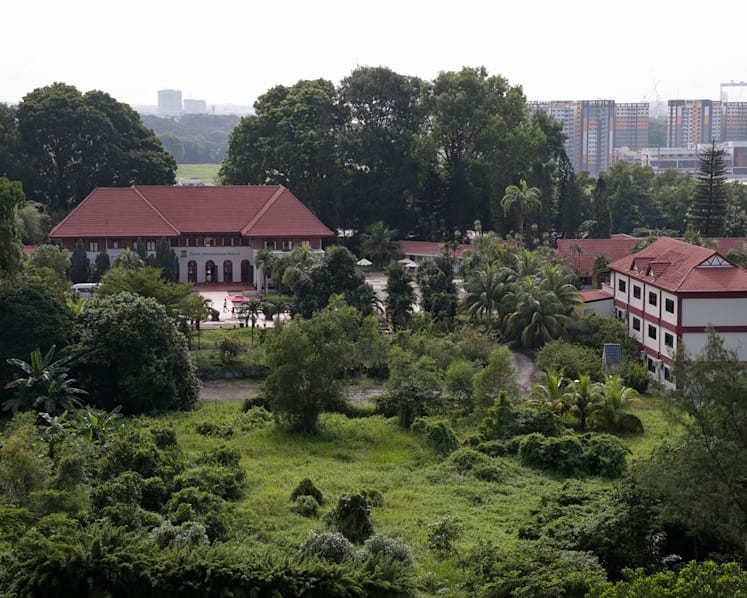 Sembawang sports and community hub development: Some trees to go but more will be planted to retain landscape