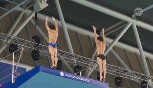 Singapore to field largest-ever diving squad at World Aquatics Championships