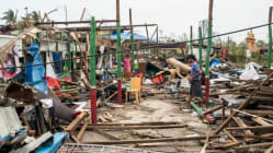 Related article image