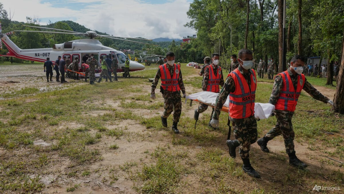Nepal-Tibet disaster: Police seek DNA samples from families of missing Singaporeans