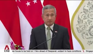 Singapore and Indonesia agree to set up joint task force to address transboundary haze