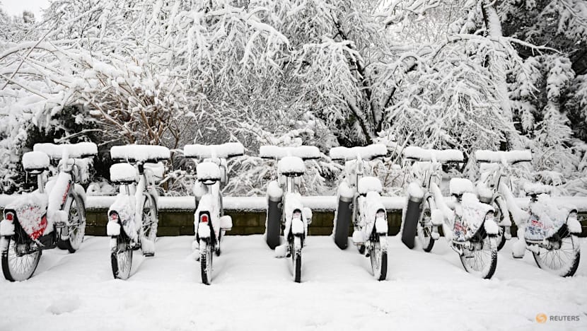 Snowstorm paralyses Vienna airport