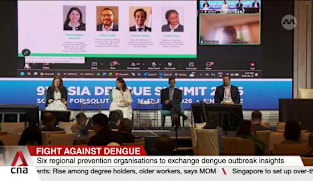 Fight against dengue: New regional framework to speed up adoption of prevention strategies 