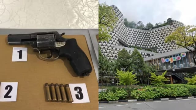 未归还枪械引全岛大搜查 27岁辅警今被控非法携枪罪
