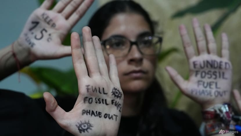 ‘No money, no talk’: Analysts disappointed at divisive COP30 climate summit