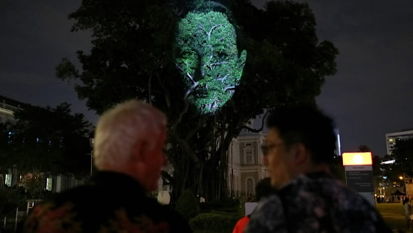 A decade on, S’pore Night Festival sees 800 per cent growth in visitors