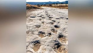 Gambar Pilihan Hari Ini