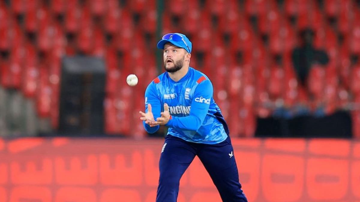 England captaincy would be a dream, says Duckett