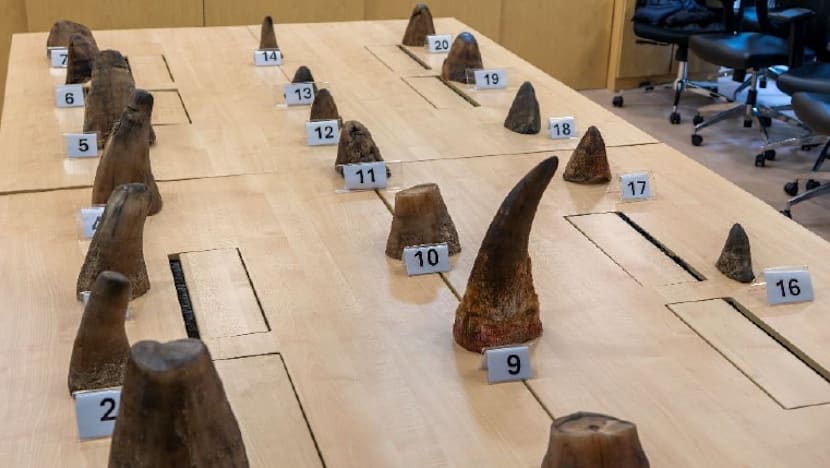 Singapore seizes record 35.7kg of rhino horns worth S$1.13 million at Changi Airport