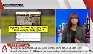 Dogs in restaurants? Viral backlash tests Hong Kong's pet-friendly push