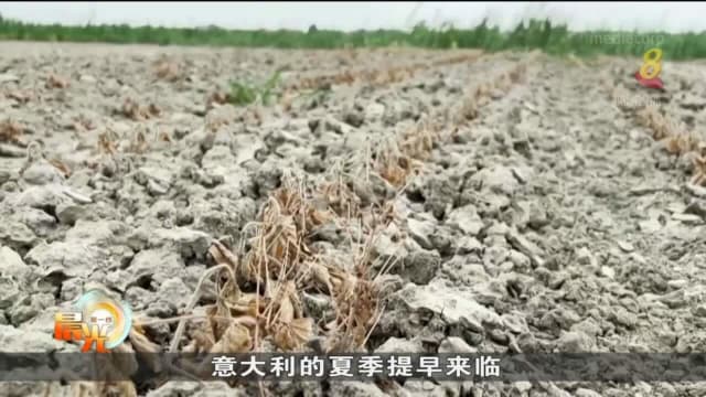 意大利面临数十年来最严重干旱 奥地利则暴雨成灾