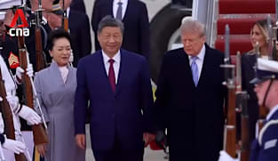 Trump-Xi summit: Xi Jinping calls for US and China to be partners rather than rivals 