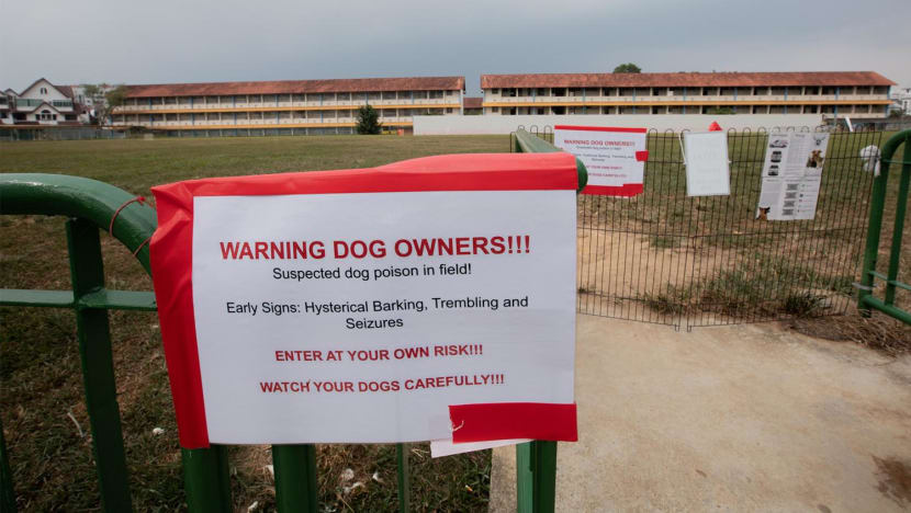 'Hysterical barking, seizures': Kovan dog walkers avoid popular field after 2 dogs die of suspected poisoning